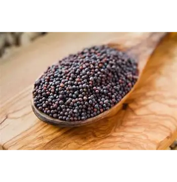 Fresh Black Mustard Seeds